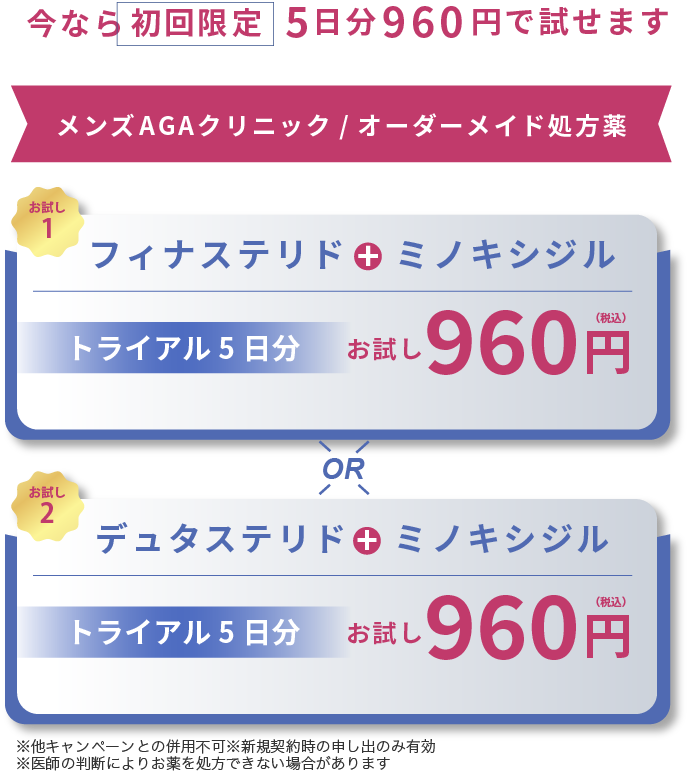 5日分　960円