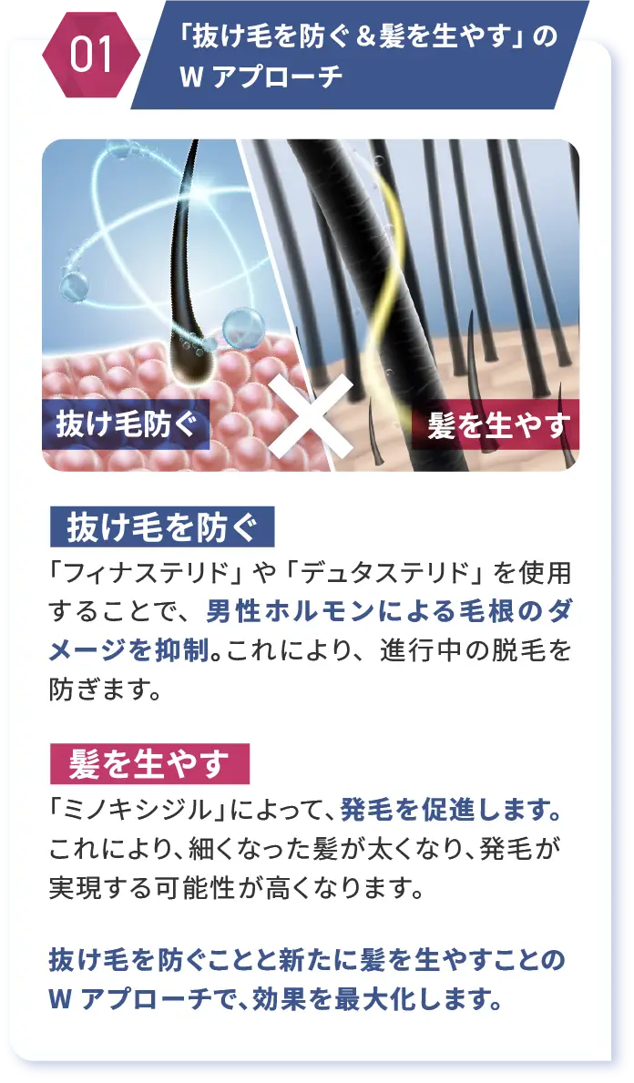 POINT1 「抜け毛を防ぐ＆髪を生やす」のWアプローチ