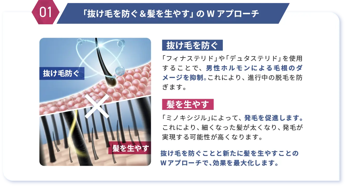POINT1 「抜け毛を防ぐ＆髪を生やす」のWアプローチ
